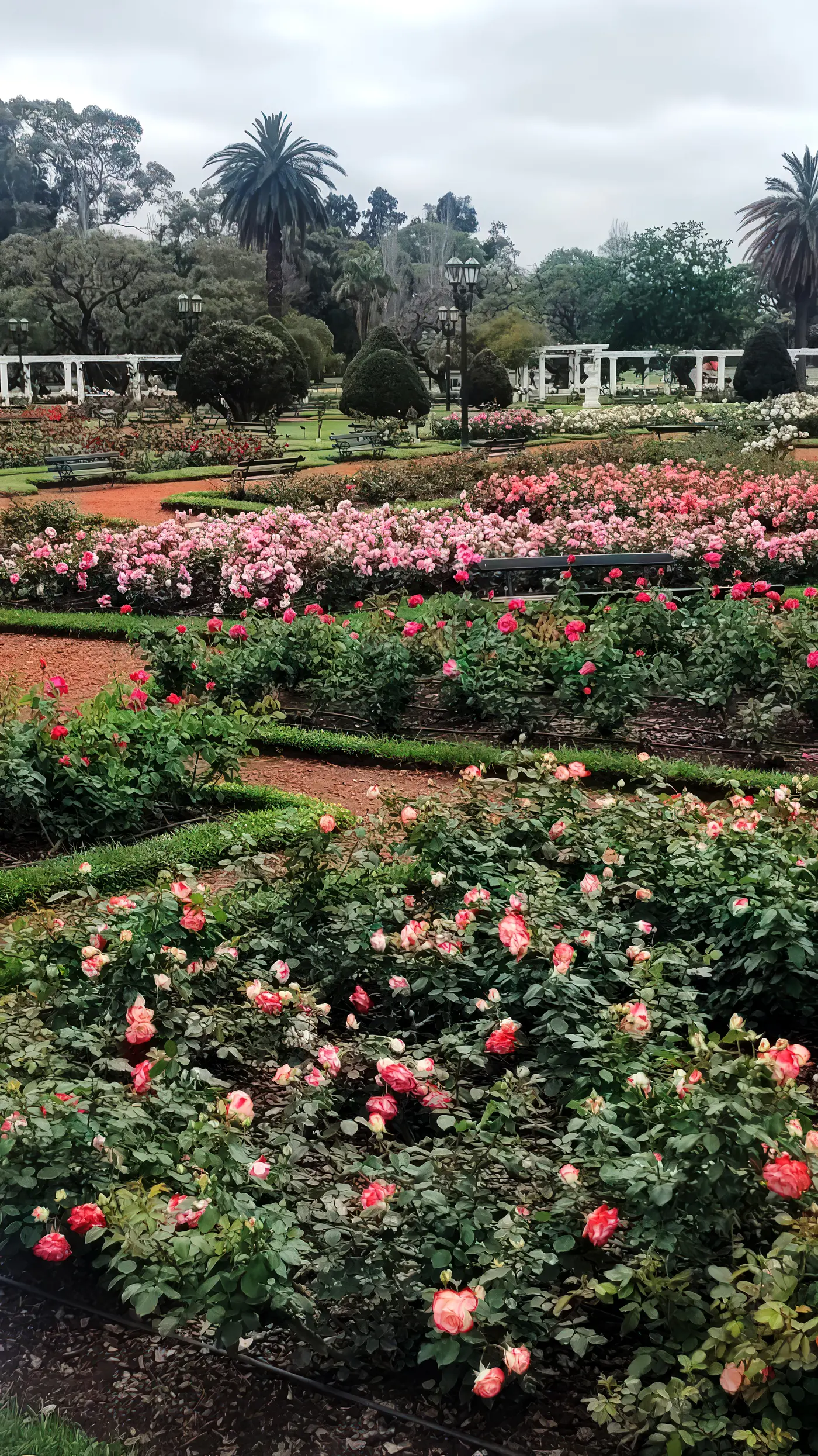 Jardim do Rosedal nos Bosques de Palermo em Buenos Aires