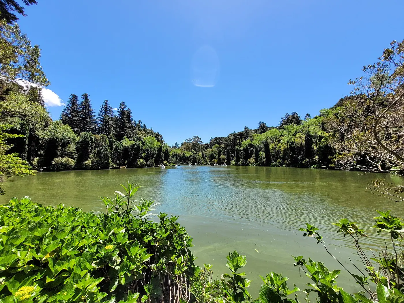 Lago Negro em Gramado com pedalinhos em formato de cisne e mata de araucárias ao fundo