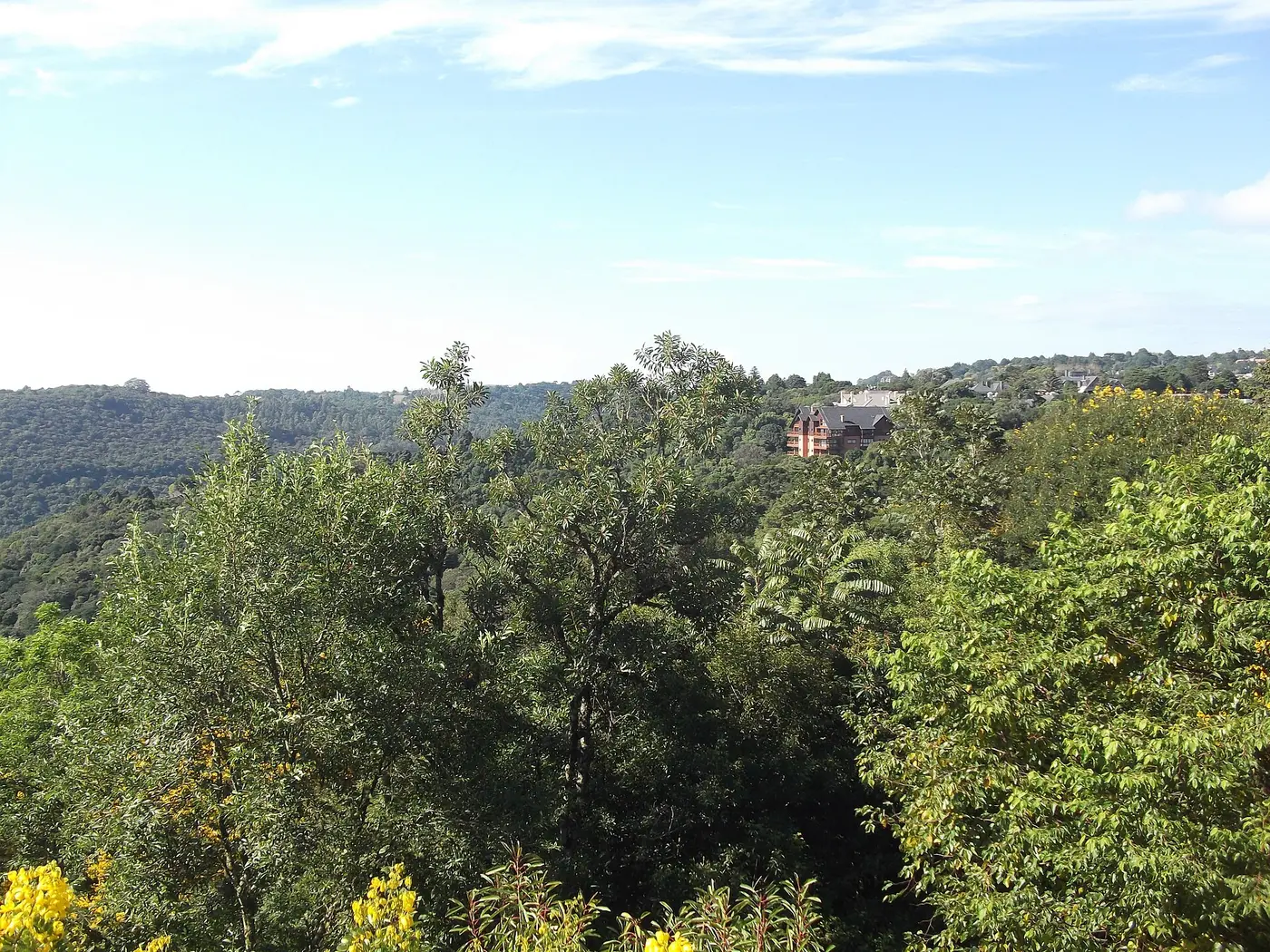 Vista do Vale do Quilombo em Gramado com mata atlântica preservada