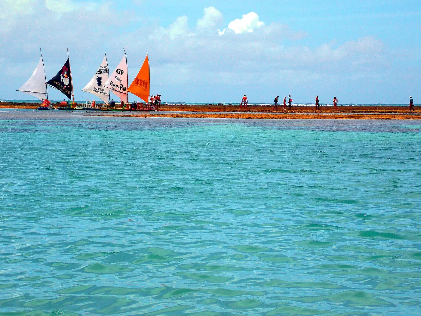 Piscinas naturais de água transparente entre corais em Porto de Galinhas